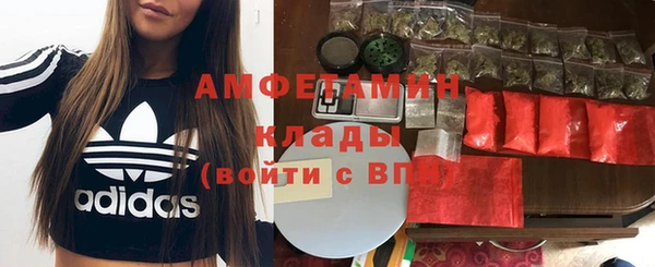 ПСИЛОЦИБИНОВЫЕ ГРИБЫ Алексеевка